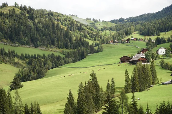 Schöne Aufnahme Einer Bergigen Landschaft Mit Häusern — Stockfoto