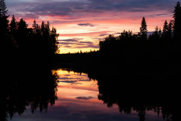 Colori Forti Del Tramonto Con Foresta Silhouette — Foto Stock