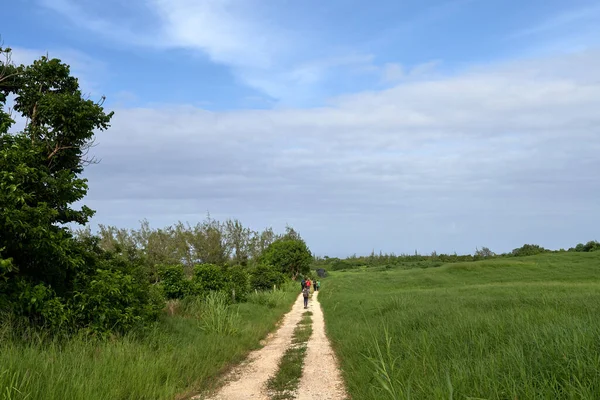 Una Vista Trasera Viajeros Caminando Por Campo Rural Sobre Fondo — Foto de Stock