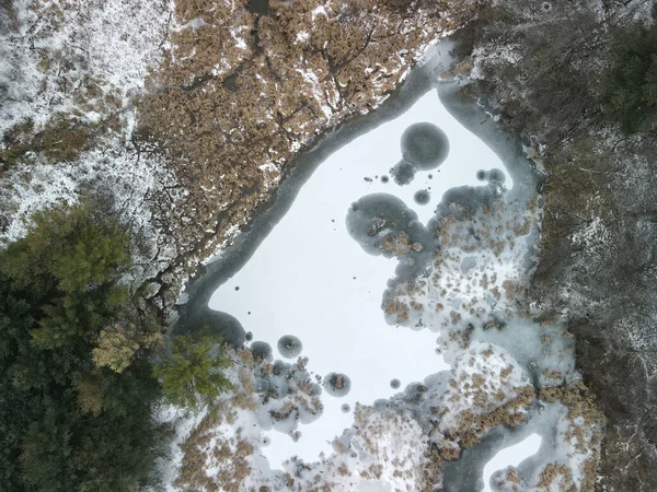 冬の森の中に裸の枝を持つ凍った川や木の空中トップビュー — ストック写真