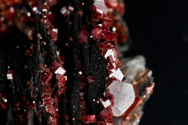 A closeup of small rare red minerals on a black blurred background