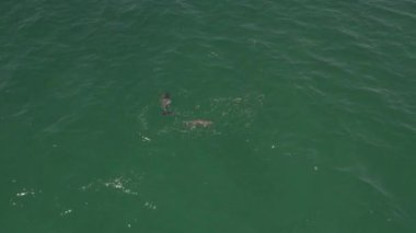 Güzel bir deniz manzarası