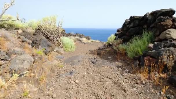 Gimbal Colpo Percorso Escursionistico Che Conduce Attraverso Asciutto Paesaggio Vulcanico — Video Stock