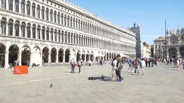 Beautiful Cityscape View Typical Buildings Architecture Verona Italy — Stock Video