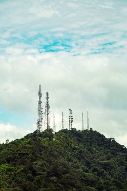 Malezya 'daki bir çay tarlasının dikey görüntüsü.