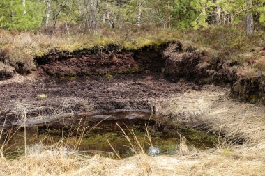Ansicht von einem Torfabstich per Hand im Hochmoo