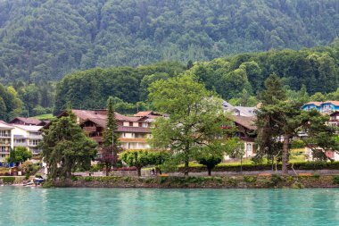 Brienz Gölü kıyısındaki geleneksel kır evleri. Interlaken, İsviçre.