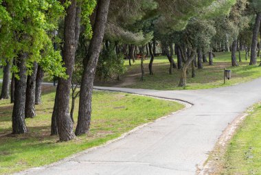 Lizbon 'daki Bela Vista Parkı' nda bir ağaç ve taş patika.