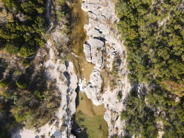 Güneşli bir günde yeşilliklerle kaplı bir nehrin kıyılarından akan havadan görünüşü.