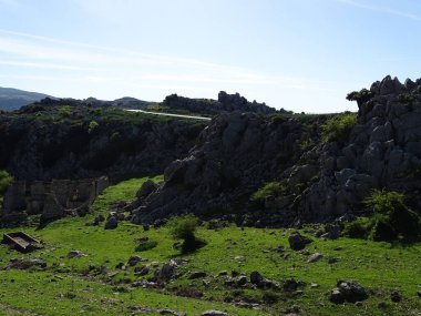 Tarlada eski bir harabe var.