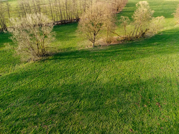 Μια Εναέρια Drone Πλάνο Ενός Τοπίου Της Χώρας Δέντρα Και — Φωτογραφία Αρχείου