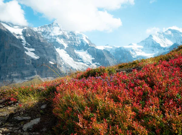 Mesmerizing View Bernese Alps Switzerland — Stock Photo, Image