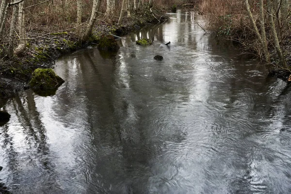Rain Reflections Small Steel Grey River Makes Its Way Orange — Stock Photo, Image