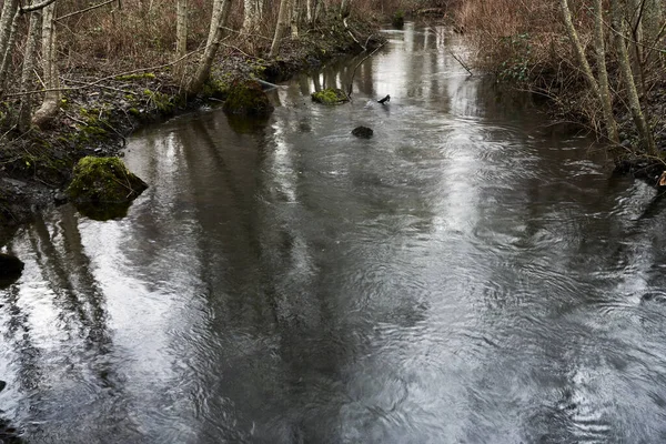 Pluie Reflets Sur Une Petite Rivière Grise Acier Alors Elle — Photo