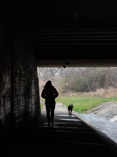 トンネルの中を歩く人と犬のシルエットの垂直ショット — ストック写真