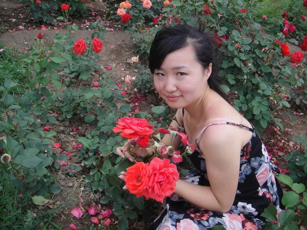 北京植物園 の女の子と赤い花 — ストック写真