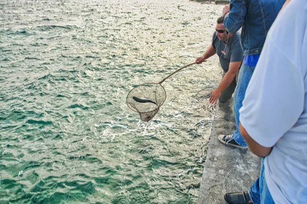 Рыбалка Порту Летний День Красивым Небом — стоковое фото