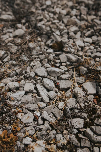 Eine Vertikale Aufnahme Von Felsen Und Getrocknetem Gras Auf Einem — Stockfoto