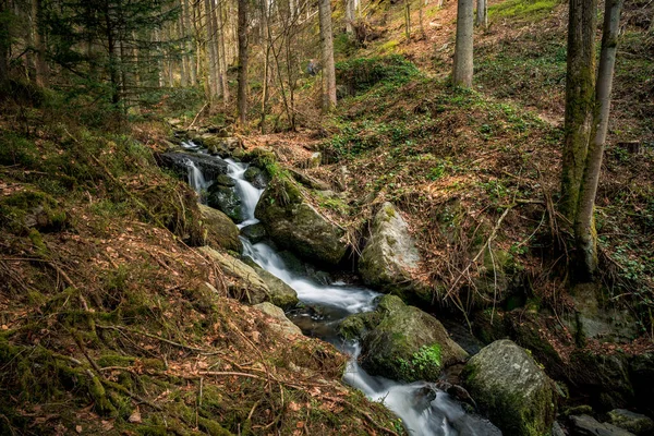 Une Petite Cascade Dans Les Roches Moussues Forêt — Photo