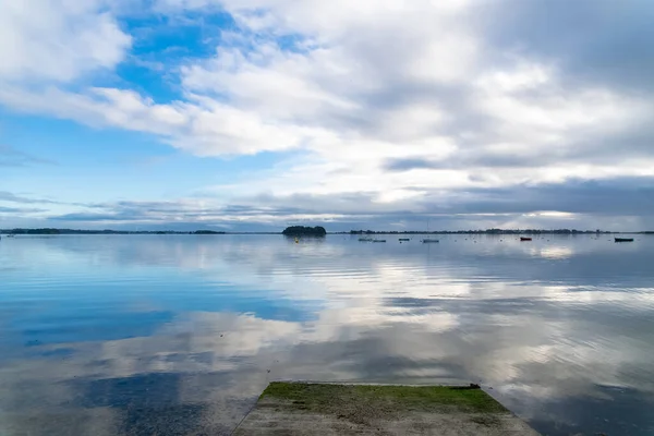 Bretagne Ile Aux Moines Insel Golf Von Morbihan Winter Gänse — Stockfoto