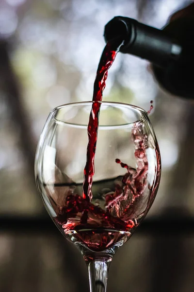窓の前に茎を持つワイングラスに瓶から赤ワインを注ぐ — ストック写真