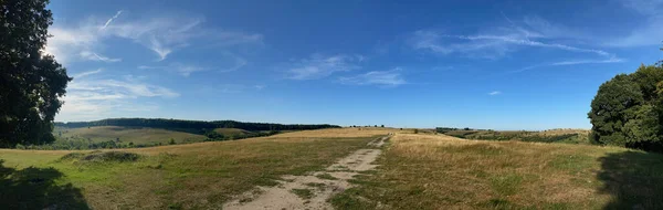 Una Hermosa Vista Campo Hierba Seca Con Camino Tierra Bajo — Foto de Stock