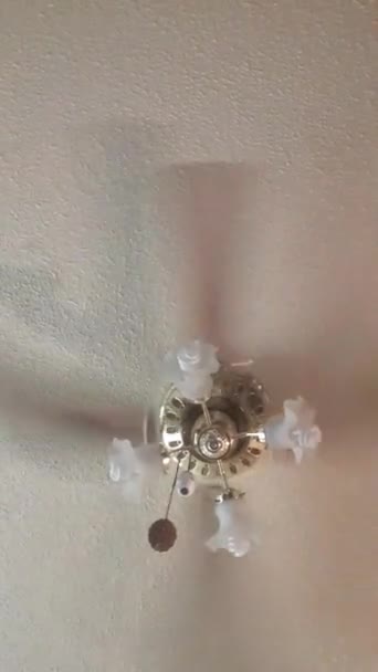 Una Toma Ángulo Bajo Ventilador Eléctrico Encendido Manteniendo Las Cosas — Vídeos de Stock