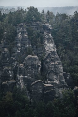 Fotoğraflar dağlara bakıyor. Sisli bir günde Sakson İsviçre Milli Parkı. Yerden inanılmaz kaya oluşumları yükseliyor.