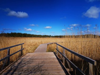 Bir tarladaki tahta kaldırıma yakın çekim.