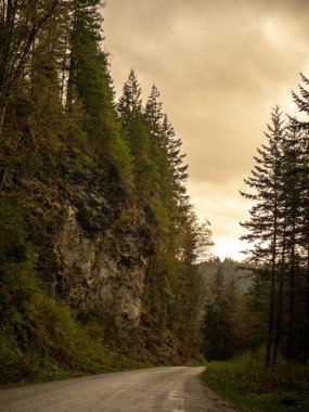 Bulutlu bir günbatımında kayalık ormanın olduğu eğimli toprak bir yolun manzarası.