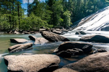Çam ormanında gün ışığında akan kayalık bir nehrin manzarası.