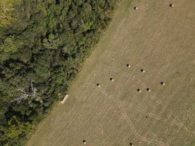 Güneşli bir günde ağaçların yakınındaki yeşil bir tarlada saman balyalarının kuş bakışı görüntüsü