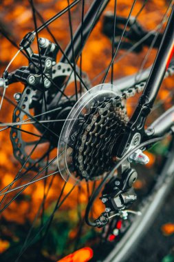 Güz yapraklarının bulanık arka planında bisiklet lastiğinin dikey yakın çekimi