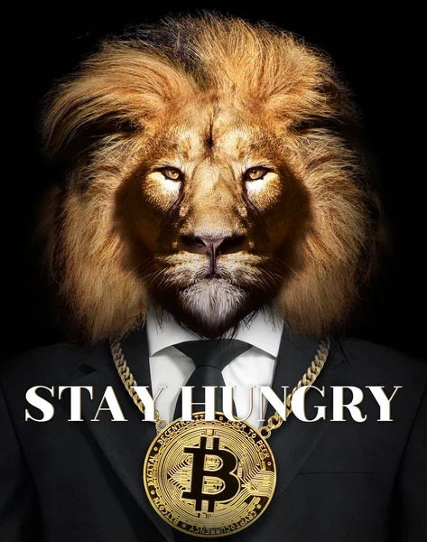 Lion Classy Look Suit Bitcoin Chain — Stock Photo, Image