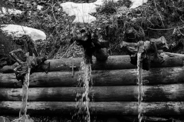 Moskova Rusya Nın Banliyölerindeki Kutsal Baharın Gri Tonlu Görüntüsü — Stok fotoğraf