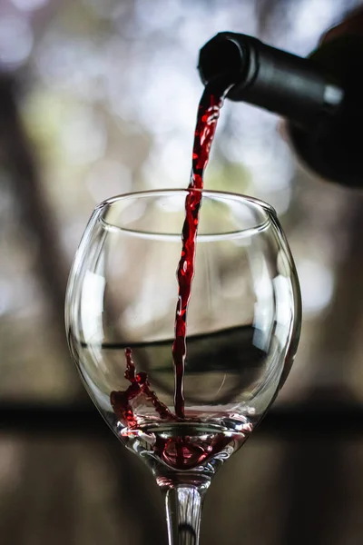 Vinho Tinto Sendo Derramado Uma Garrafa Copo Vinho Com Caule — Fotografia de Stock