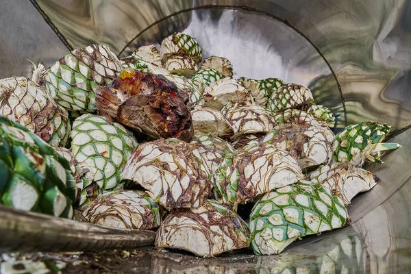 Oven Full Agave Ready Start Steaming — Stock Photo, Image