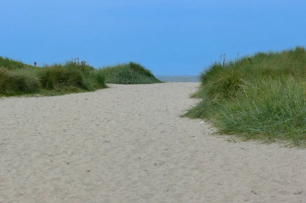 Schöne Aufnahme Eines Strandes Der Nähe Der Nordsee Unter Klarem — Stockfoto
