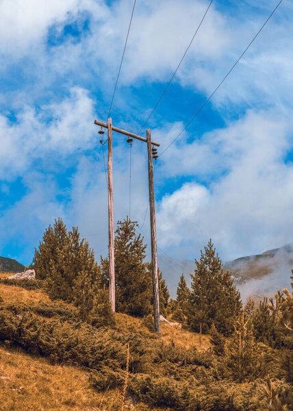 A landscape view with high pine trees and an electric pole against a cloudy sky in Pristina Kosovo