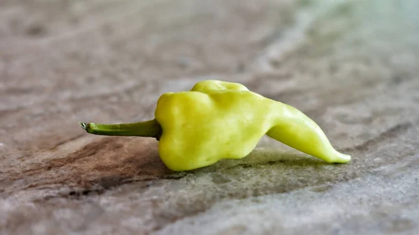 Eine Nahaufnahme Von Einem Grünen Pfeffer — Stockfoto