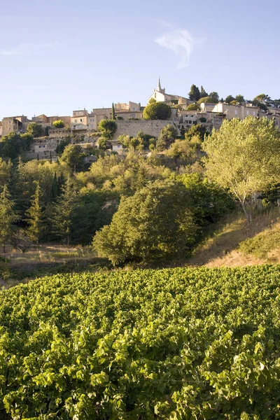 Vinmarker Sommeren Provence Frankrike – stockfoto