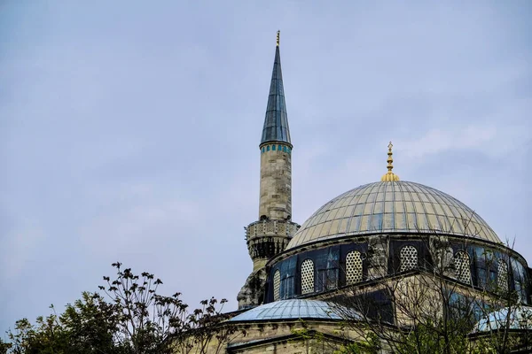 Une Vue Aérienne Mosquée Suleymaniye Entourée Arbres Avec Oiseau Volant — Photo