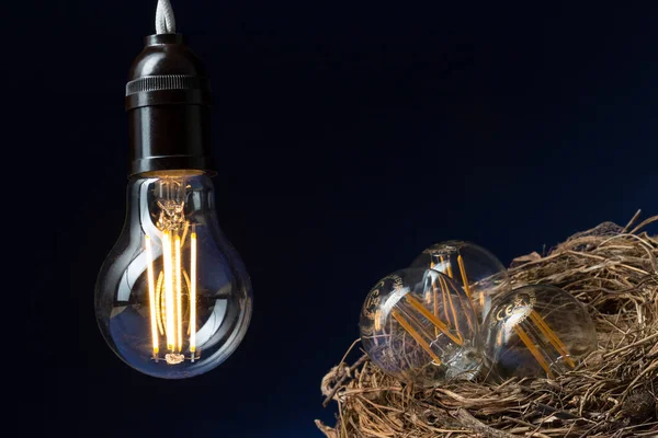 Close-up of a lit LED bulb that heats three small bulbs in a bird's nest on a black and blue background.