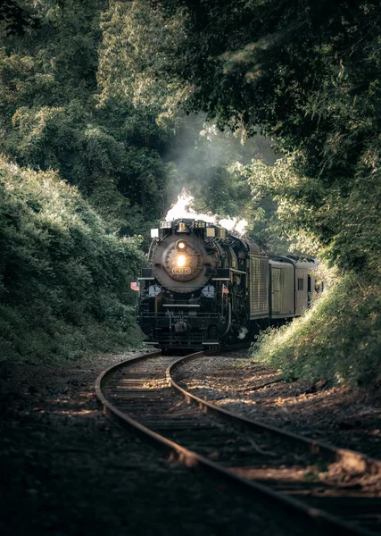 Una Locomotora Con Una Máquina Vapor Ferrocarril Denso Bosque —  Fotos de Stock