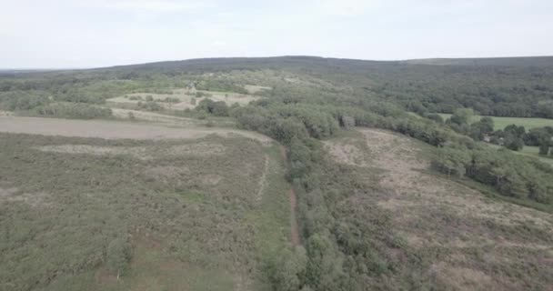 Ліс Бретань Франції — стокове відео