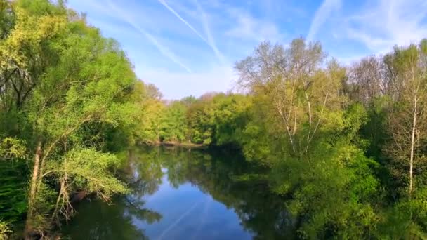 Вид Повітря Красиву Річку Лісі Влітку — стокове відео