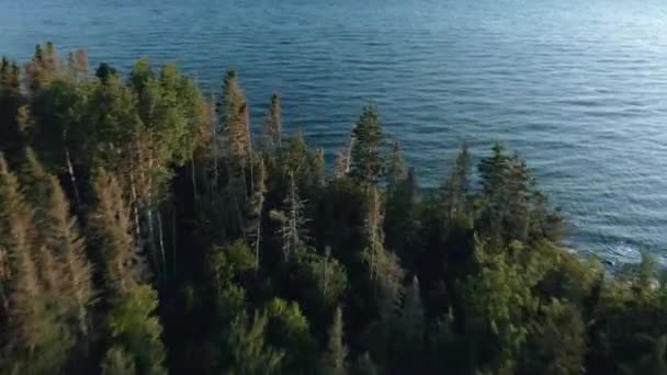 Una Veduta Aerea Delle Onde Del Mare Che Schizzano Sulle — Video Stock