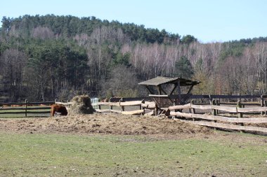 Çiftlikteki bir çitin yanındaki kuru buğday tarlasına yakın çekim