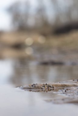 Güzel bir yer, sudaki yansımalar.