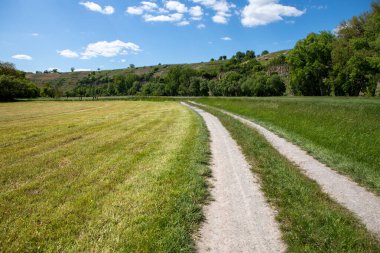 Bir tarlanın ortasında iki toprak yol.